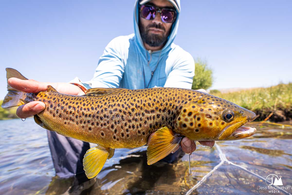 Fly Fishing Argentina: Jurassic Lake, Golden Dorado & Patagonian Spring Creeks