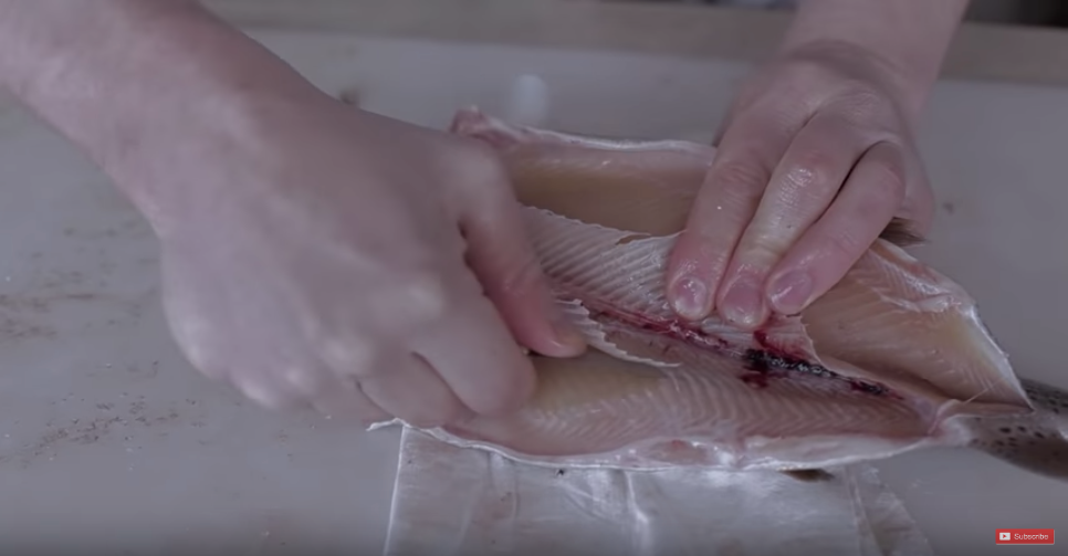 How to Fillet a Fish