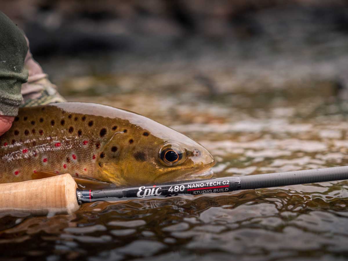 How to choose the right fly rod