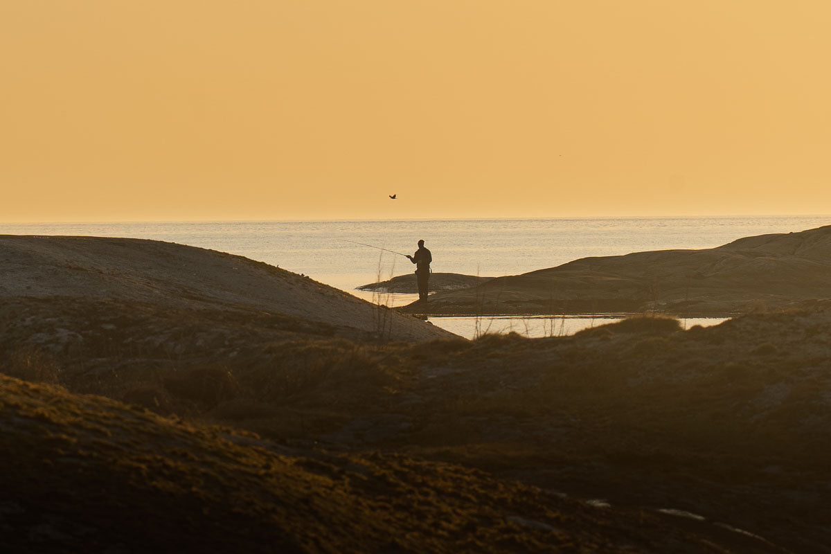 Man fishing at sunset on west coast of sweden