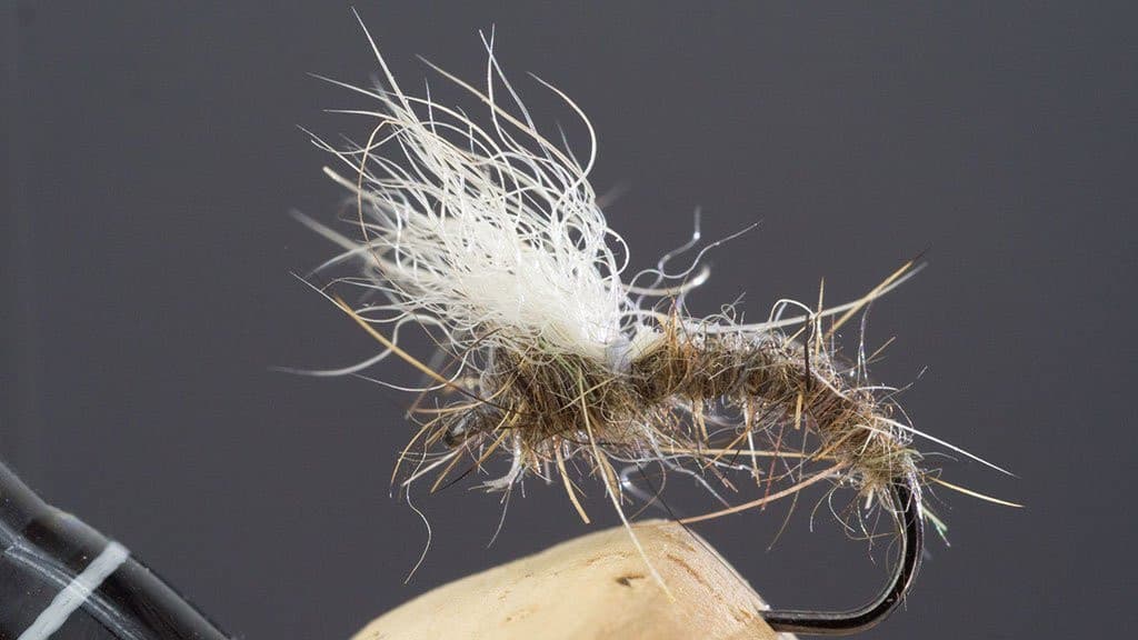 Snowshoe Hare Emerger one of the best flies for fly fishing