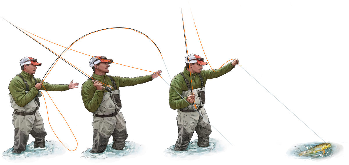 Illustration of man landing fish on a fly rod