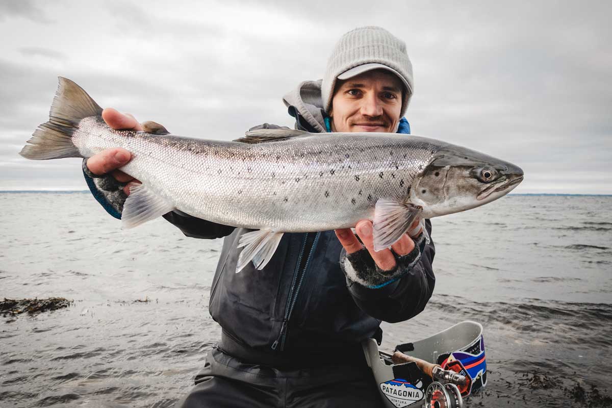 Fly Fishing For Sea Run Brown trout with fly rods