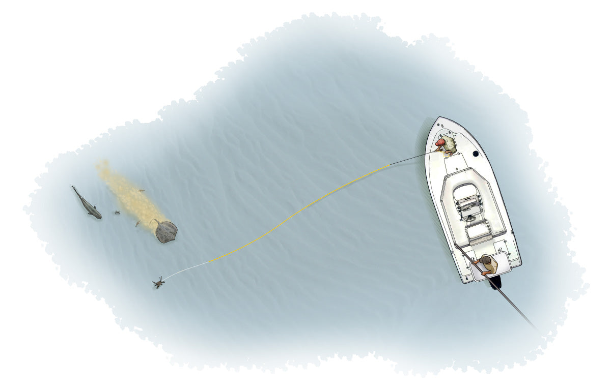 10 Essential Tips for Getting the Most from a Guided Fishing Trip