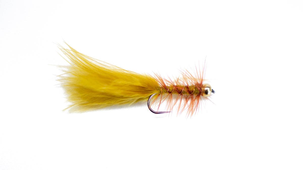 Best Fly Fishing Flies - Bead Head Woolly Bugger